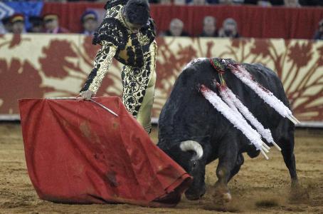 5a31dcabe432c-r_1513217203486-0-405-1696-1527