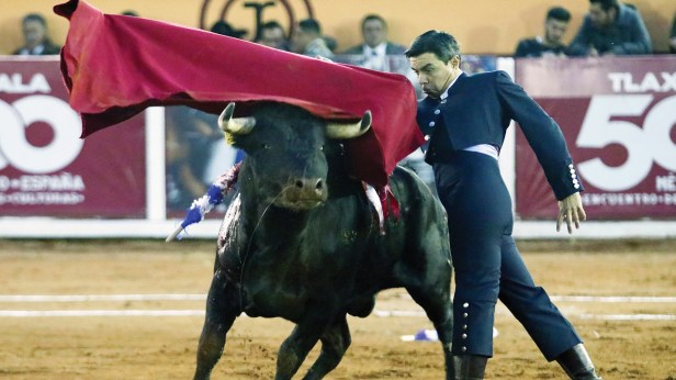 44bf89b6311574152966